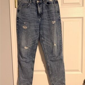 American Eagle Outfitters Mom Jeans